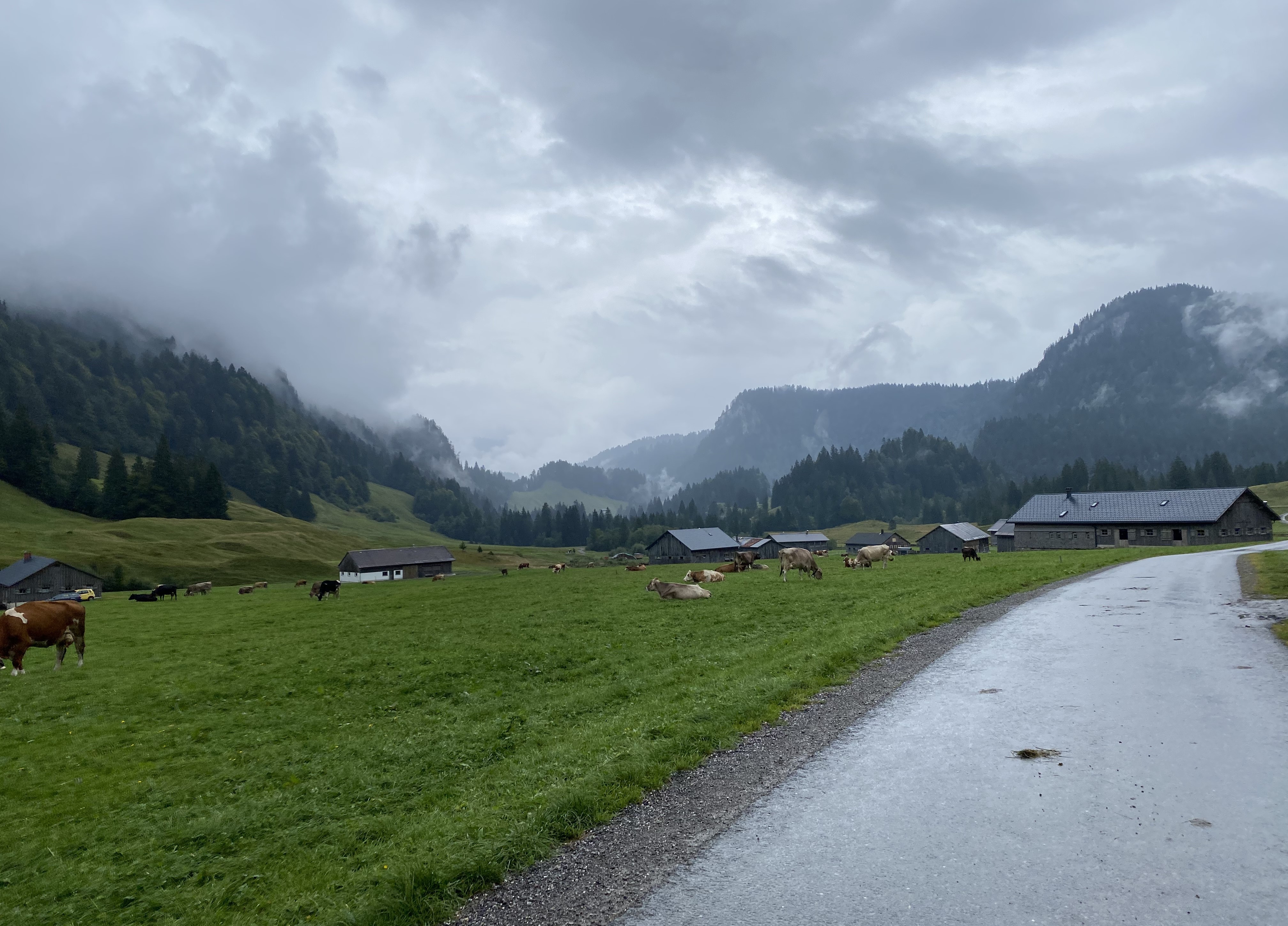 Auf dem Weg zum Kaesespaetzleessen