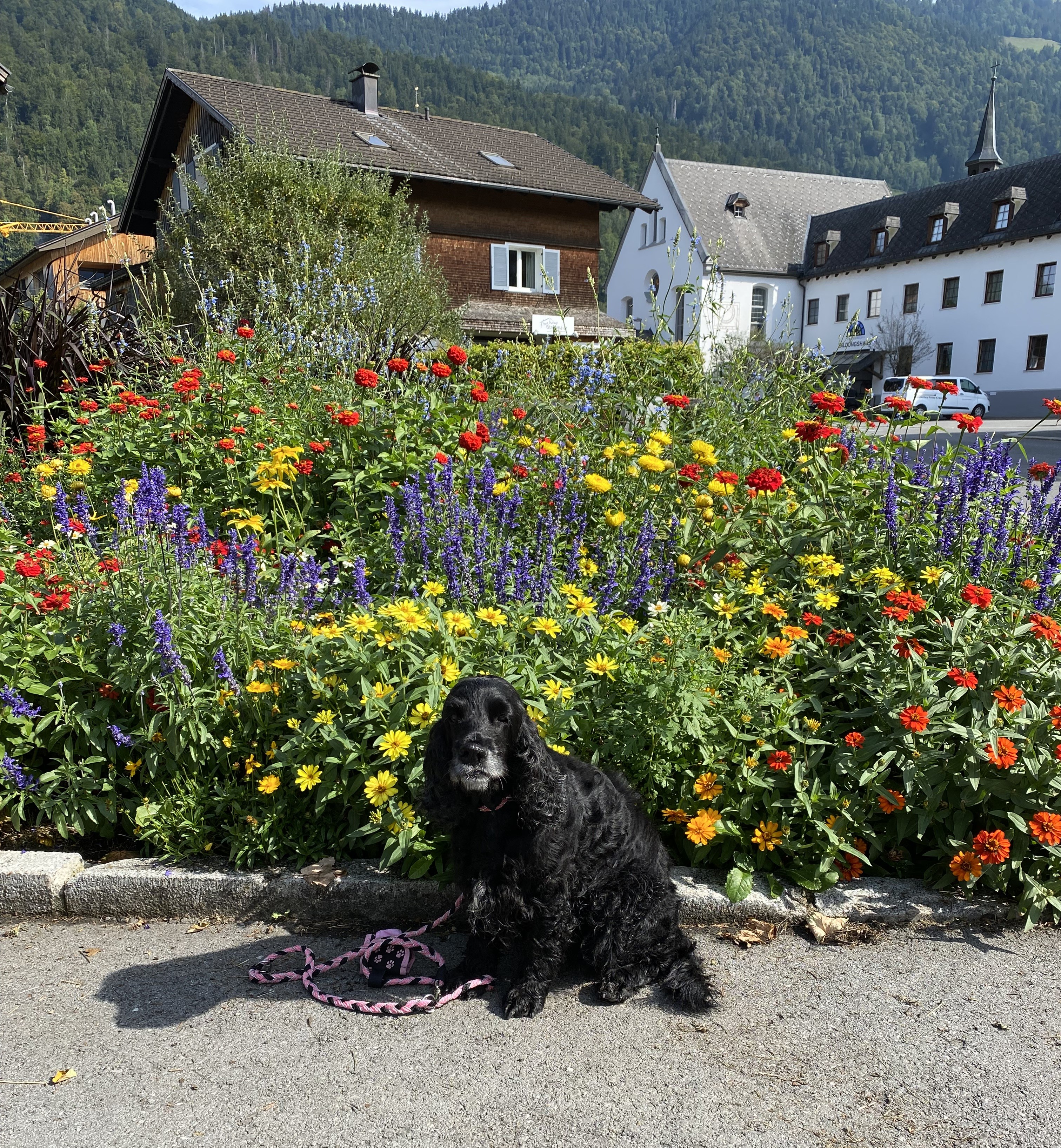 Blumen