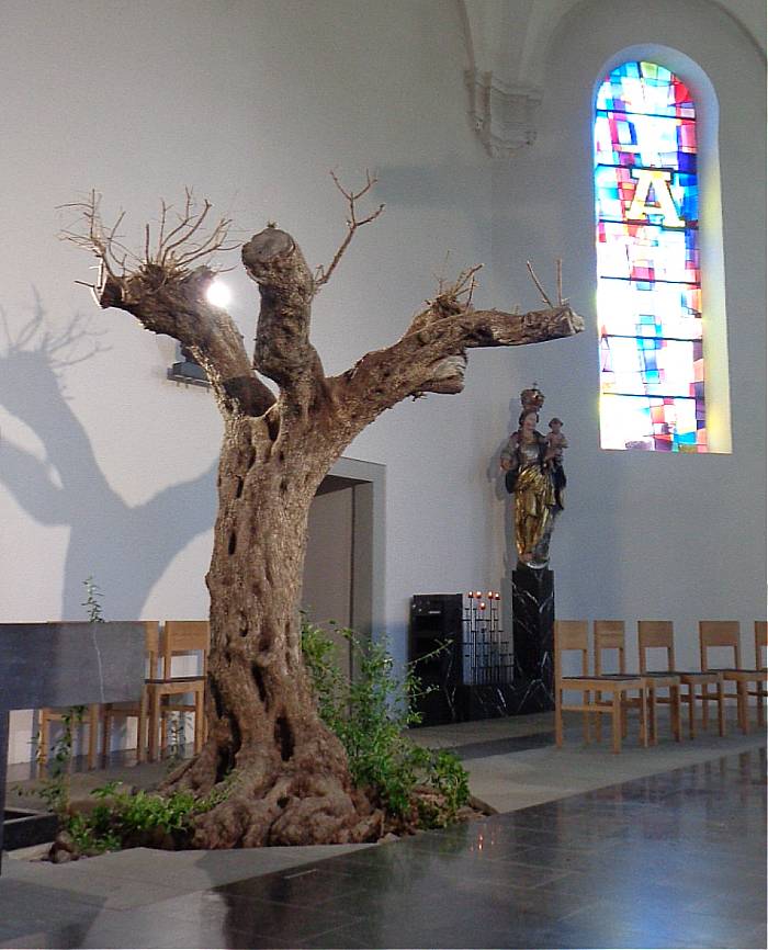 Kirche Olivenbaum2