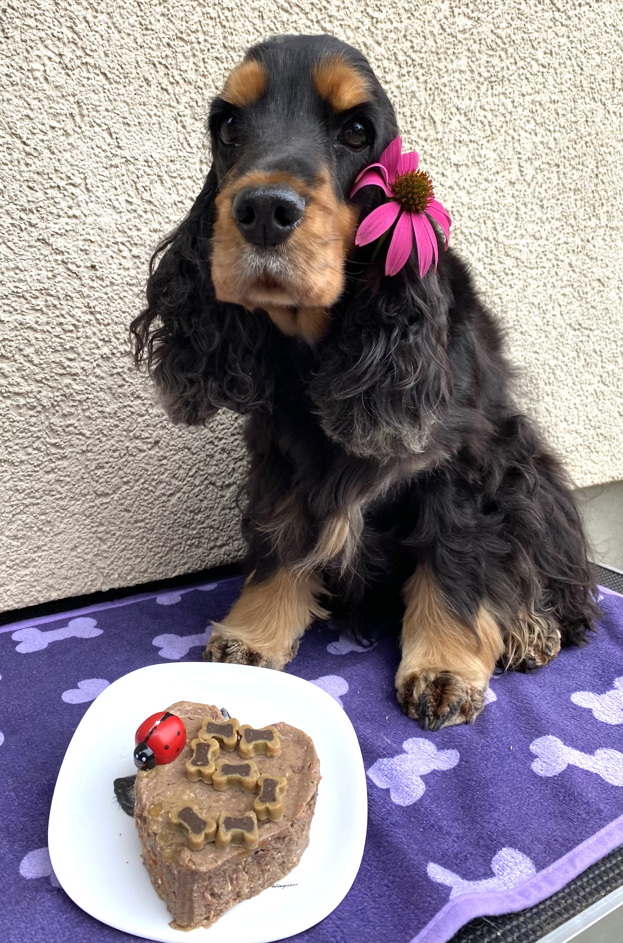 Ornella 5 Geburtstag