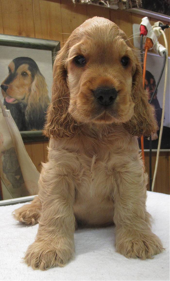 Murphy8W2